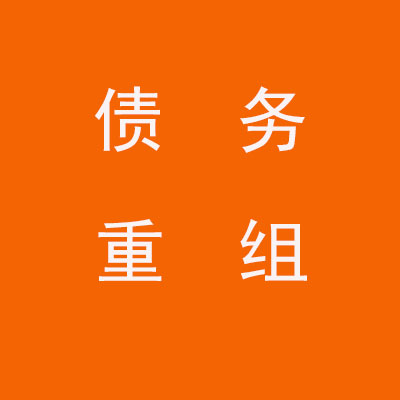 中方个人债务重组优化